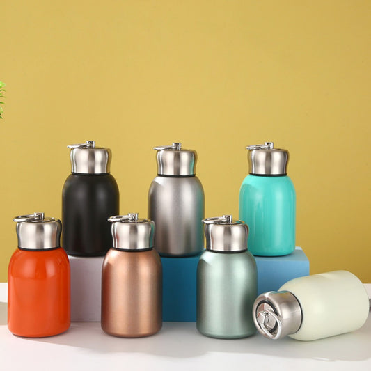 300ml Stainless Steel Water Bottle with Handle