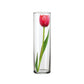 Glass Clear Vase 28cm