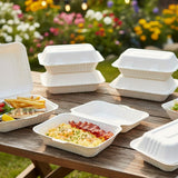 Biodegradable Bagasse Takeaway Lunchbox Clamshell 1000ml 10pack