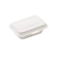 Biodegradable Single Compartment Clamshell 23x15cm