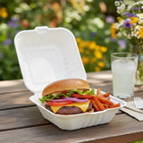 Biodegradable Large Gourmet Hamburger Box 15x15cm 1pc