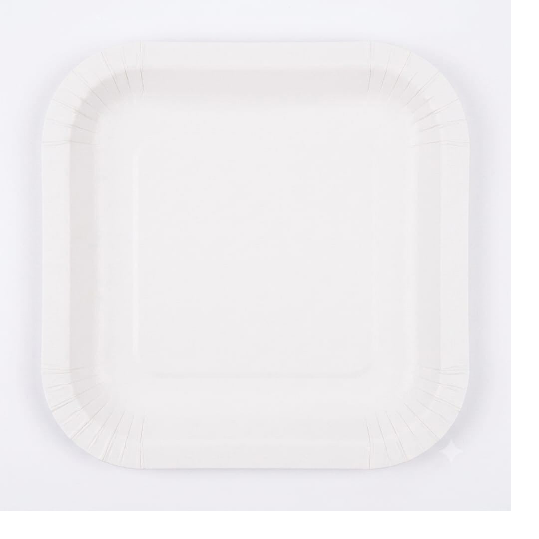 Disposable Party Paper Plate Plain 8pcs