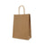 Kraft Paper Bag with Twisted Handles 12pcs