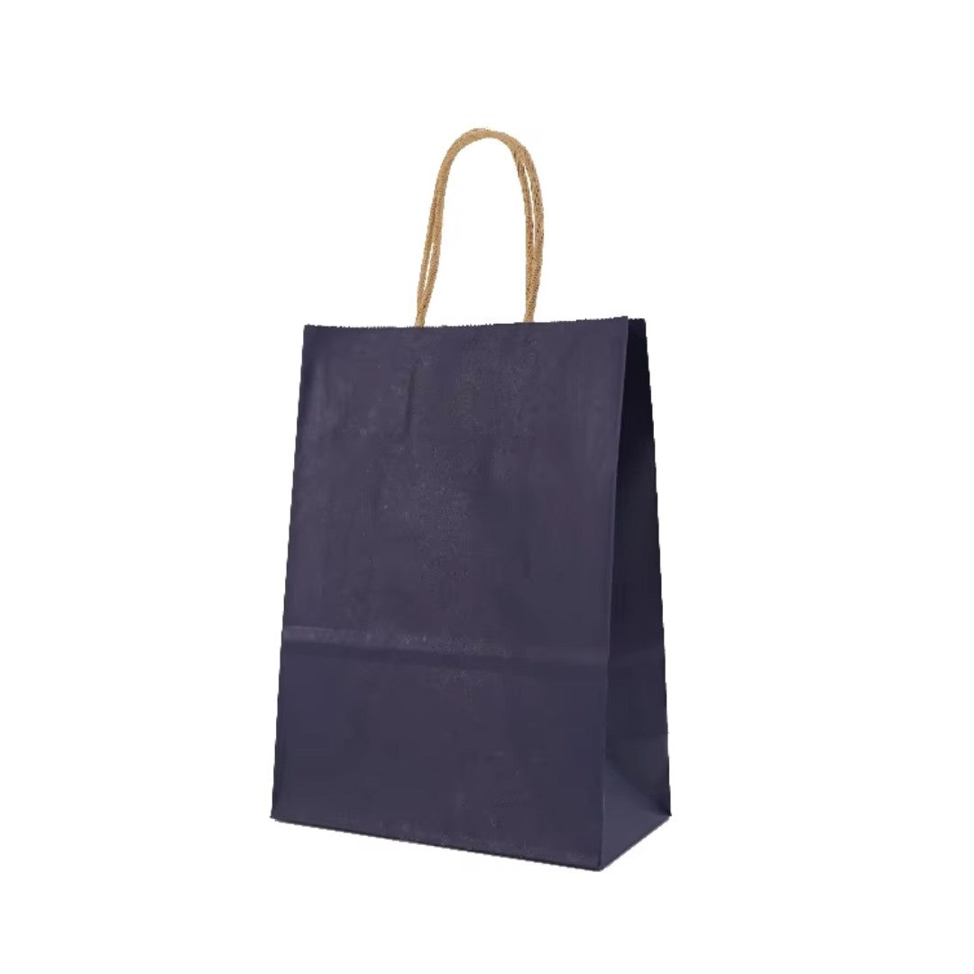 Kraft Paper Bag with Twisted Handles 12pcs