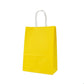 Kraft Paper Bag with Twisted Handles 12pcs