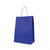 Kraft Paper Bag with Twisted Handles 12pcs
