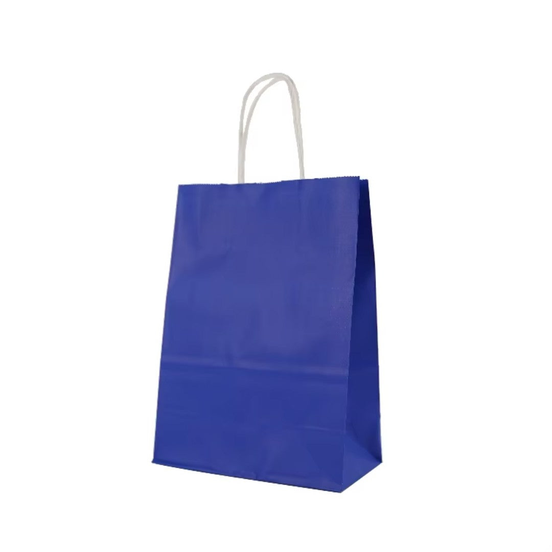 Kraft Paper Bag with Twisted Handles 12pcs