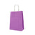Kraft Paper Bag with Twisted Handles 12pcs