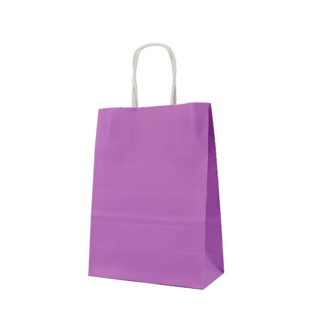 Kraft Paper Bag with Twisted Handles 12pcs