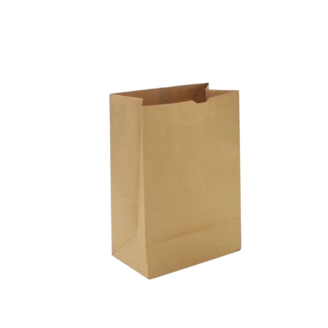 Kraft Paper Bags – Eco-Friendly Brown Paper Bag 50pack