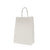 Kraft Paper Bag with Twisted Handles 12pcs